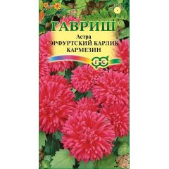 Астра Эрфуртский карлик Кармезин, однолетняя (красная) 0,3 г