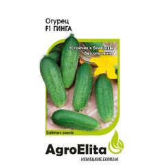 Огурец Гинга F1 0,3 г партен. (Сатимекс) Агроэлита