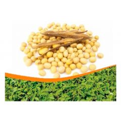 Соя Дельта 1 кг