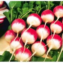 Редис Националь 100 г