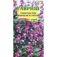 Гиацинтовые бобы Вьющаяся сирень 4 шт.