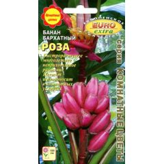 Банан комнатный Роза бархатный 3 шт. Аэлита
