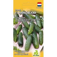 Огурец Чайковский F1 5 шт. (Голландия)