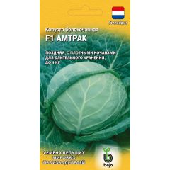 Капуста белокоч. Амтрак F1 10 шт. (для хранения Голландия)