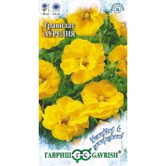 Гравилат Аурелия  чилийский 0,05 г серия Устойчив к заморозкам!