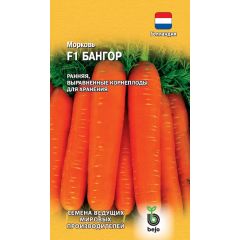 Морковь Бангор F1 150 шт. (Голландия)