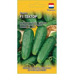 Огурец Гектор F1 10 шт. (Голландия)