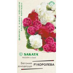 Бегония Королева F1, вечноцв. махровая смесь, гранул. 4 шт. пробирка, Саката серия Эксклюзив