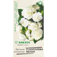 Бегония Королева белая F1  вечноцв. 4 шт. пробирка, серия Саката