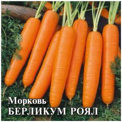 Морковь Берликум Роял 25,0 г