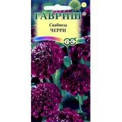 Скабиоза пурпурная Черри, махр. 0,2 г