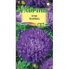 Астра Марина, однолетняя (фиолет/воронеж. семена) 0,3 г