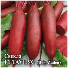 Свекла Таунус F1 25,0 г (Голландия)
