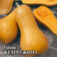 Тыква Жемчужина, мускатная 100,0 г