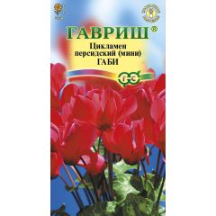Цикламен Габи персидский* 3 шт.