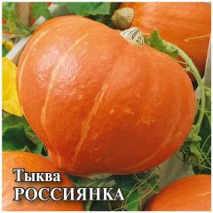 Тыква Россиянка 100 г