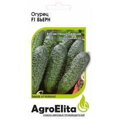 Огурец Бьерн F1 5 шт. партен. (Энза Заден) Агроэлита