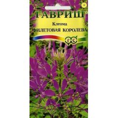 Клеома Фиолетовая королева 0,3 г