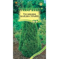 Туя западная Канди Страйп 0,05 г