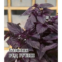 Базилик Ред Рубин 50,0 г