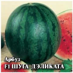 Арбуз Шуга Дэликата F1 50 шт. (Саката)