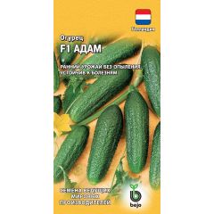 Огурец Адам F1 5 шт. корнишон (Голландия)
