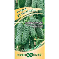 Огурец Мамлюк F1 5 шт. автор.
