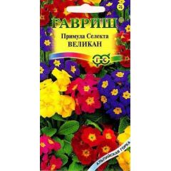 Примула Селекта Великан*, смесь 10 шт. серия Альпийская горка