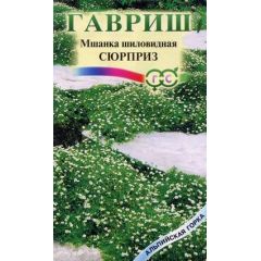 Мшанка шилолистная Сюрприз 0,01 г сер. Альпийская горка