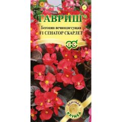 Бегония Сенатор Скарлет F1 вечноцв. 4 шт. пробирка Саката серия Элитная клумба