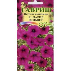 Петуния Парпл Вельвет (Сурфиния) амп. 4 шт. пробирка