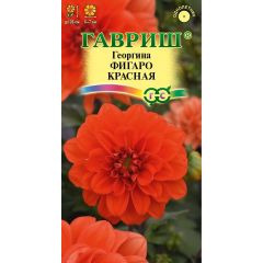 Георгина Фигаро красная 7 шт. негранул.