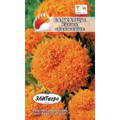 Бархатцы откл. Купид оранжев. 0,1 г Элитагро