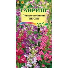 Пенстемон гибридный Энтони*, смесь 0,1 г