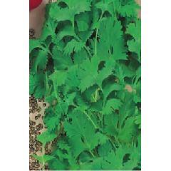 Кориандр Шико 25,0 г