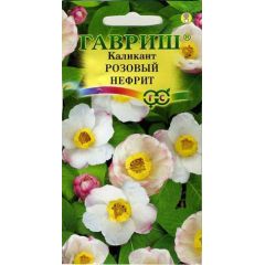 Каликант китайский Розовый нефрит 3 шт.