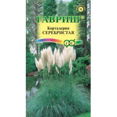 Кортадерия Серебристая (Пампасная трава)* 8 шт.