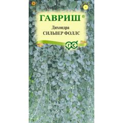 Дихондра серебристая Сильвер Фоллс 3  шт.