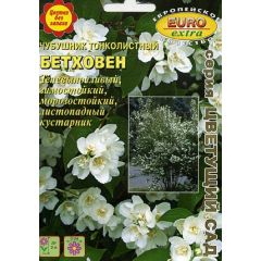 Чубушник тонколистный Бетховен  0,005 г Аэлита