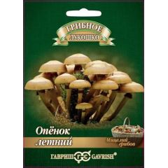 Опенок летний на древесной палочке, больш. пак. 12 шт