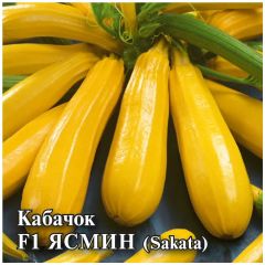Кабачок Ясмин F1  100 шт. (Саката)