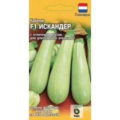 Кабачок Искандер F1 5 шт. (Голландия)
