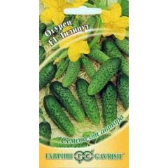 Огурец Лилипут  F1 10 шт. пикуль автор.