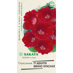 Глоксиния Аванти винно-красная F1 гранул. 4 шт. пробирка Саката серия Эксклюзив