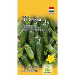 Огурец Пуччини F1 5 шт. (Голландия)