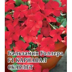 Бальзамин Карнавал Скарлет F1 (Уоллера) 100 шт.*  сер. Профи