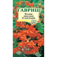 Бегония ампельная Эллада F1 клубневая, гранул. 4 шт. пробирка