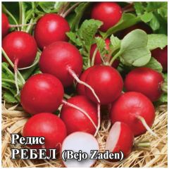 Редис Ребел 25,0 г (Бейо)