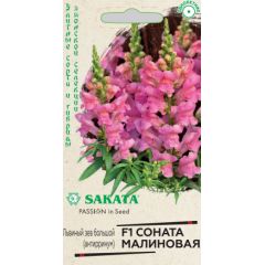 Львиный зев (Антирринум) Соната малиновая F1* 7 шт. Саката серия Элитная клумба