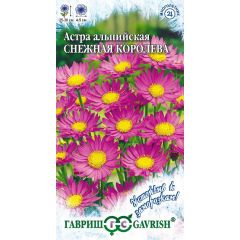 Астра альпийская розовая Снежная королева, * 0,05 г серия Устойчив к заморозкам!